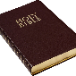 Bulk Pack of Bibles